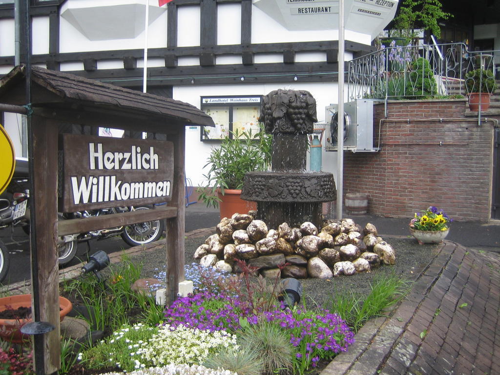 Landhotel Weinhaus Treis Weinaehr Екстер'єр фото