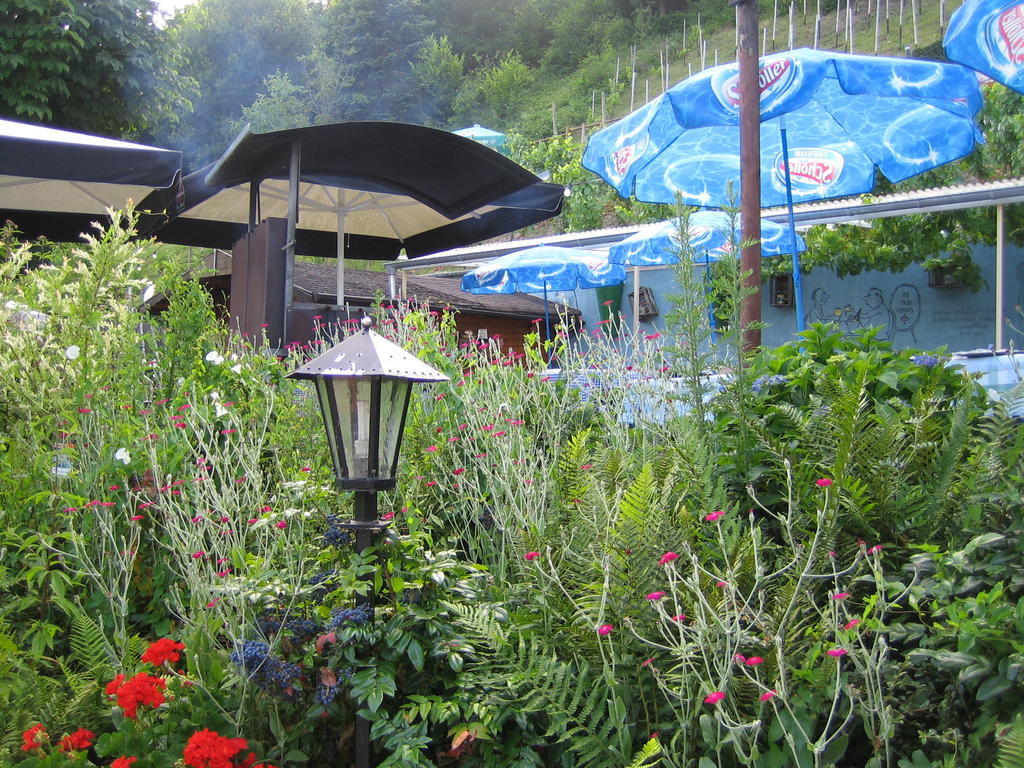 Landhotel Weinhaus Treis Weinaehr Екстер'єр фото