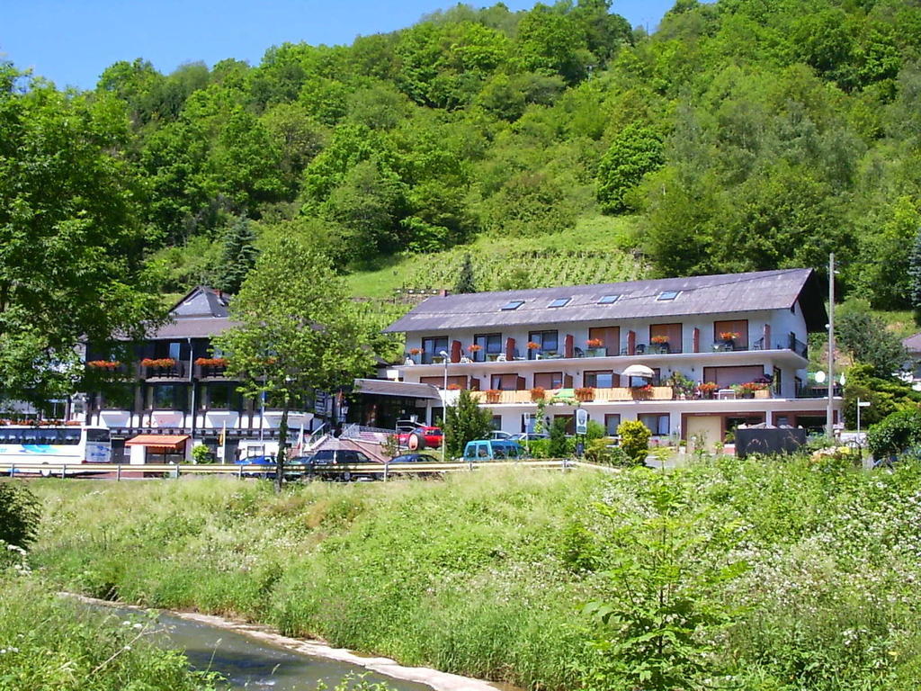 Landhotel Weinhaus Treis Weinaehr Екстер'єр фото